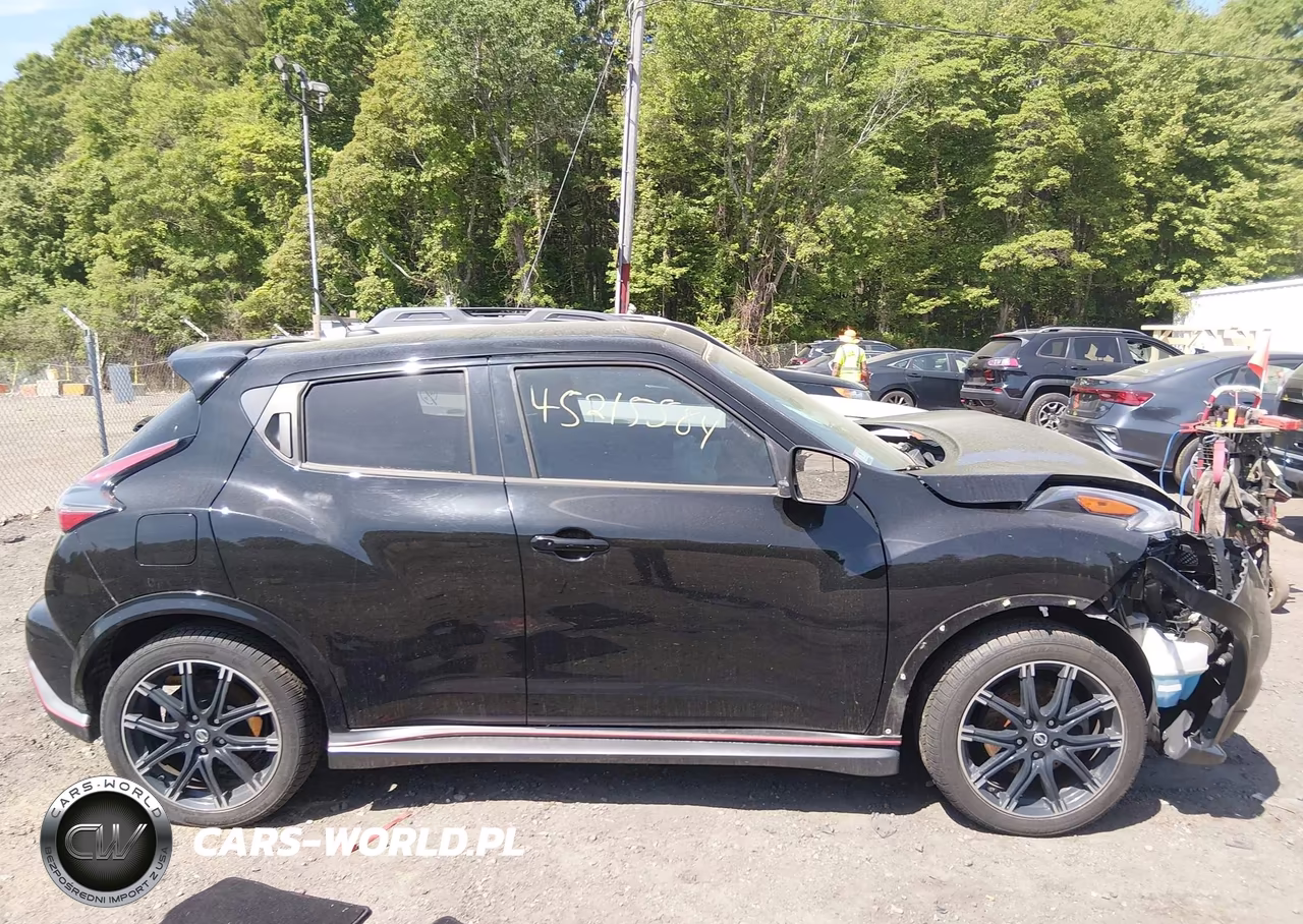 2015 Nissan Juke Nismo-S-Sl-Sv VIN:JN8AF5MV9FT563744 - 13