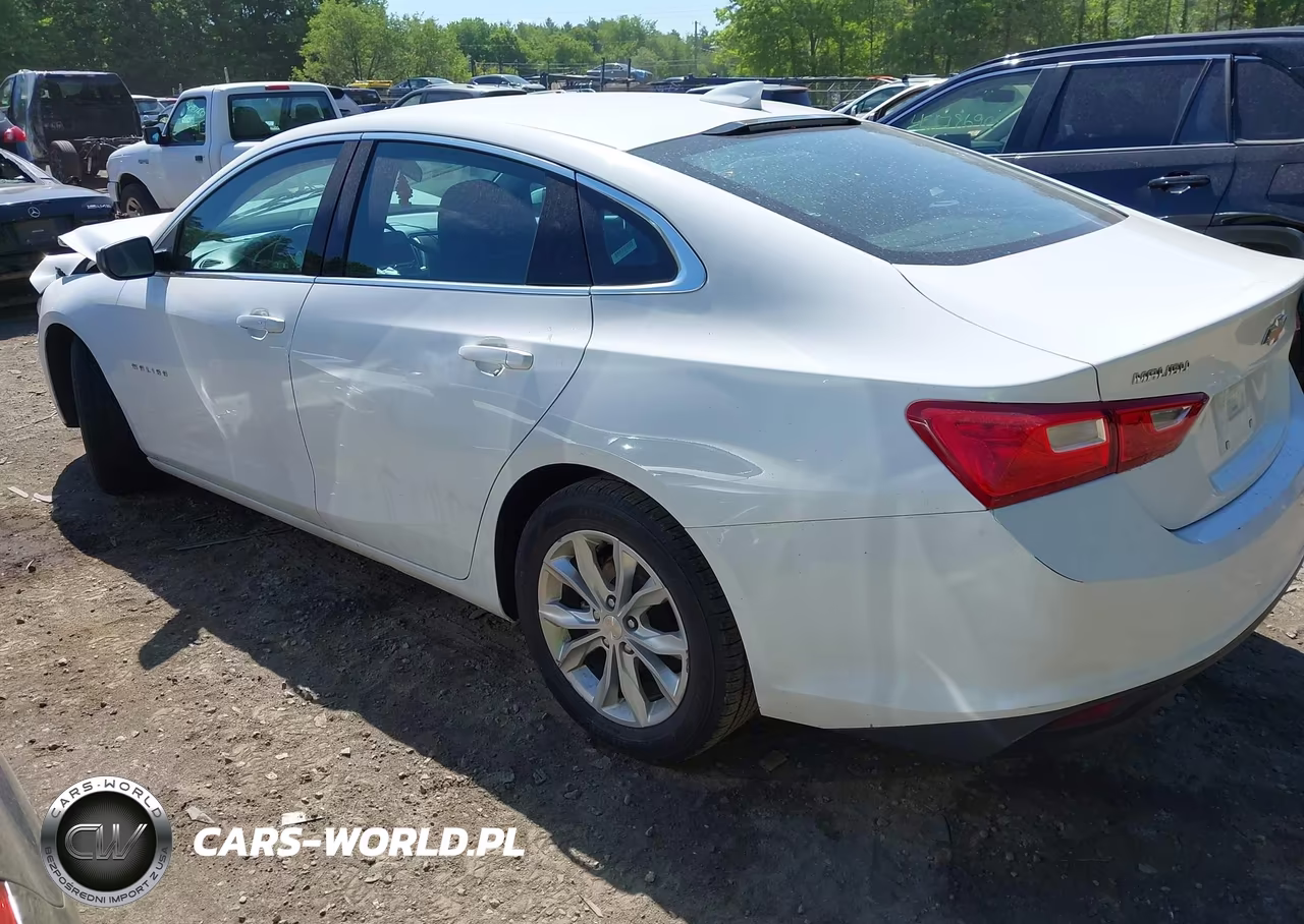 2023 Chevrolet Malibu Fwd 1Lt VIN:1G1ZD5STXPF228202 - 3