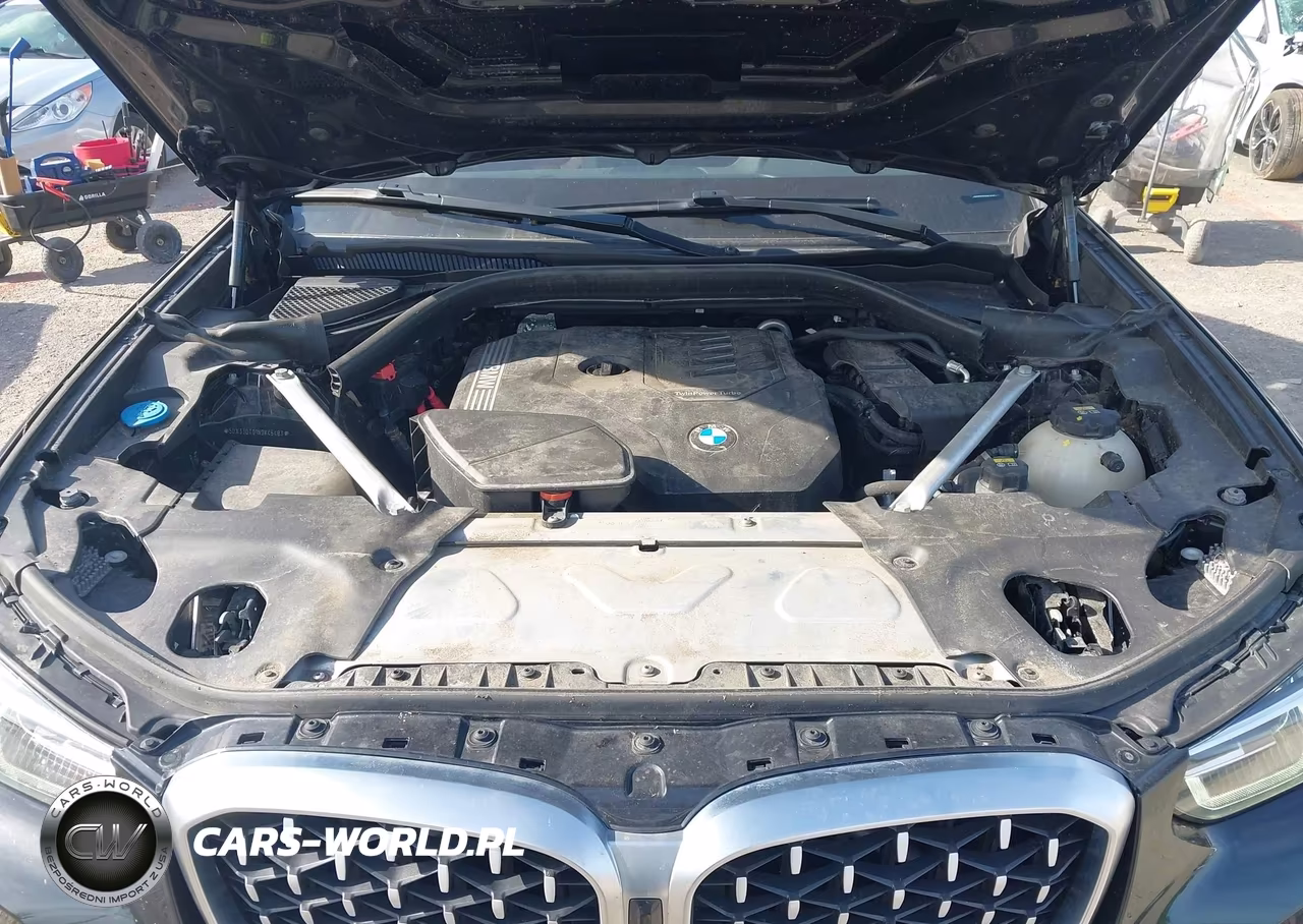 2022 BMW X4 xDrive30I VIN:5UX33DT01N9K46483 - 10