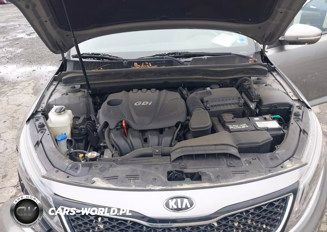 2015 Kia Optima Ex VIN:5XXGN4A71FG378564 - 10