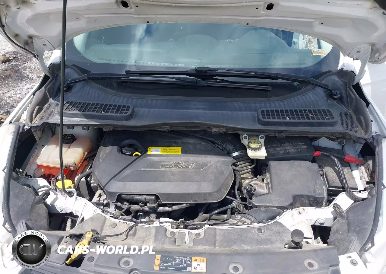 2015 Ford Escape Se VIN:1FMCU0GX6FUB82899 - 10