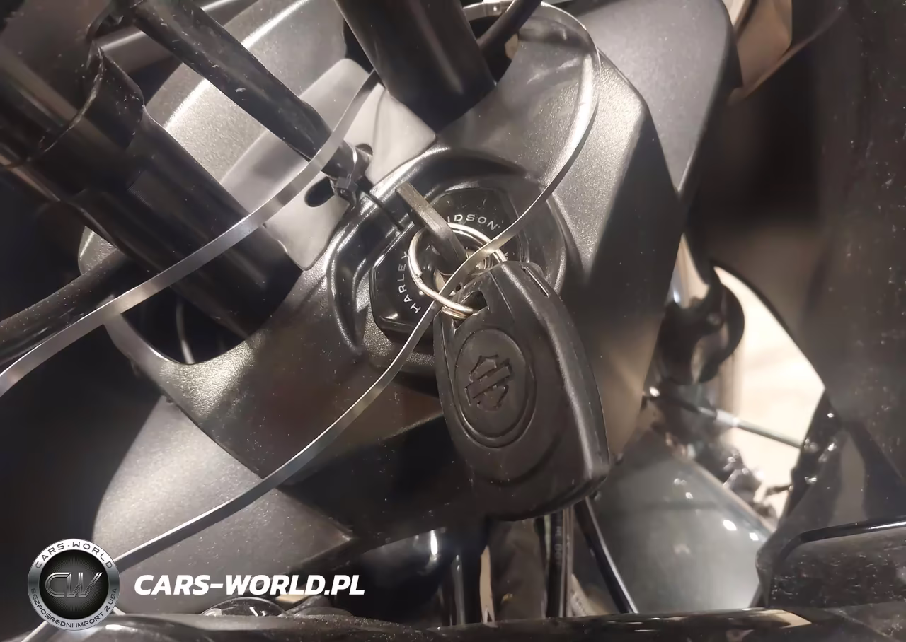 2025 Harley-Davidson Fltrx VIN:1HD1KH717SB616599 - 11