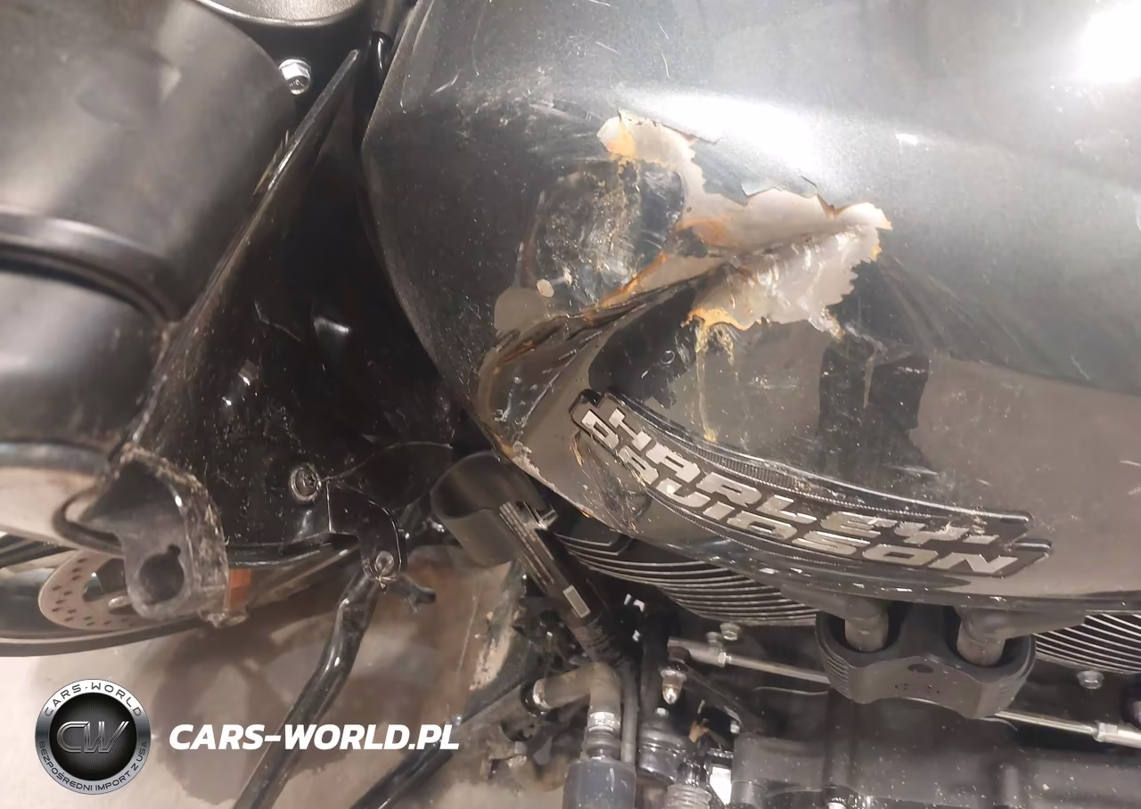 2025 Harley-Davidson Fltrx VIN:1HD1KH717SB616599 - 16