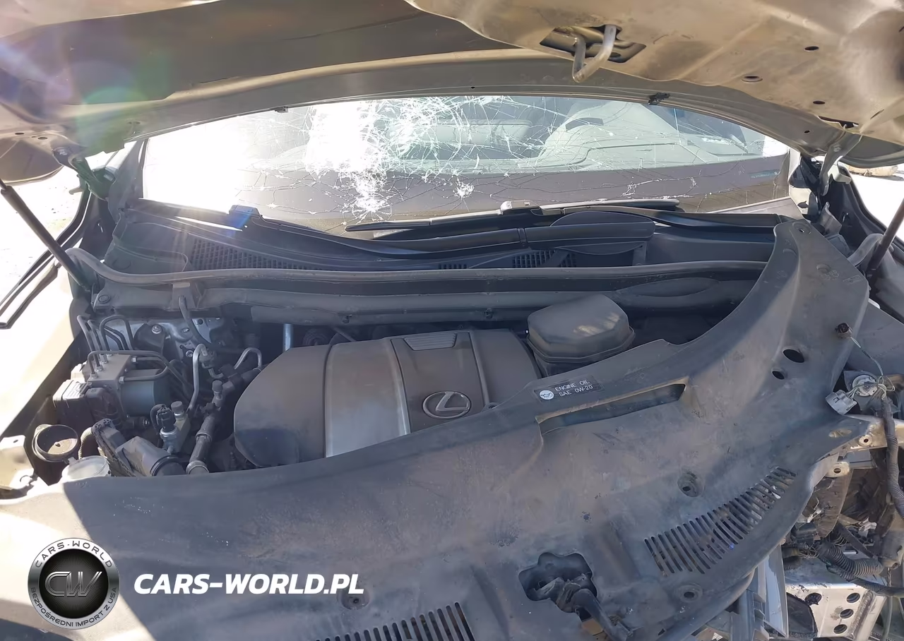 2019 Lexus Rx 350 VIN:2T2ZZMCA0KC125285 - 10