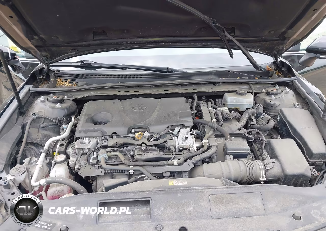 2020 Toyota Camry Se Hybrid VIN:4T1J31AK7LU545039 - 10