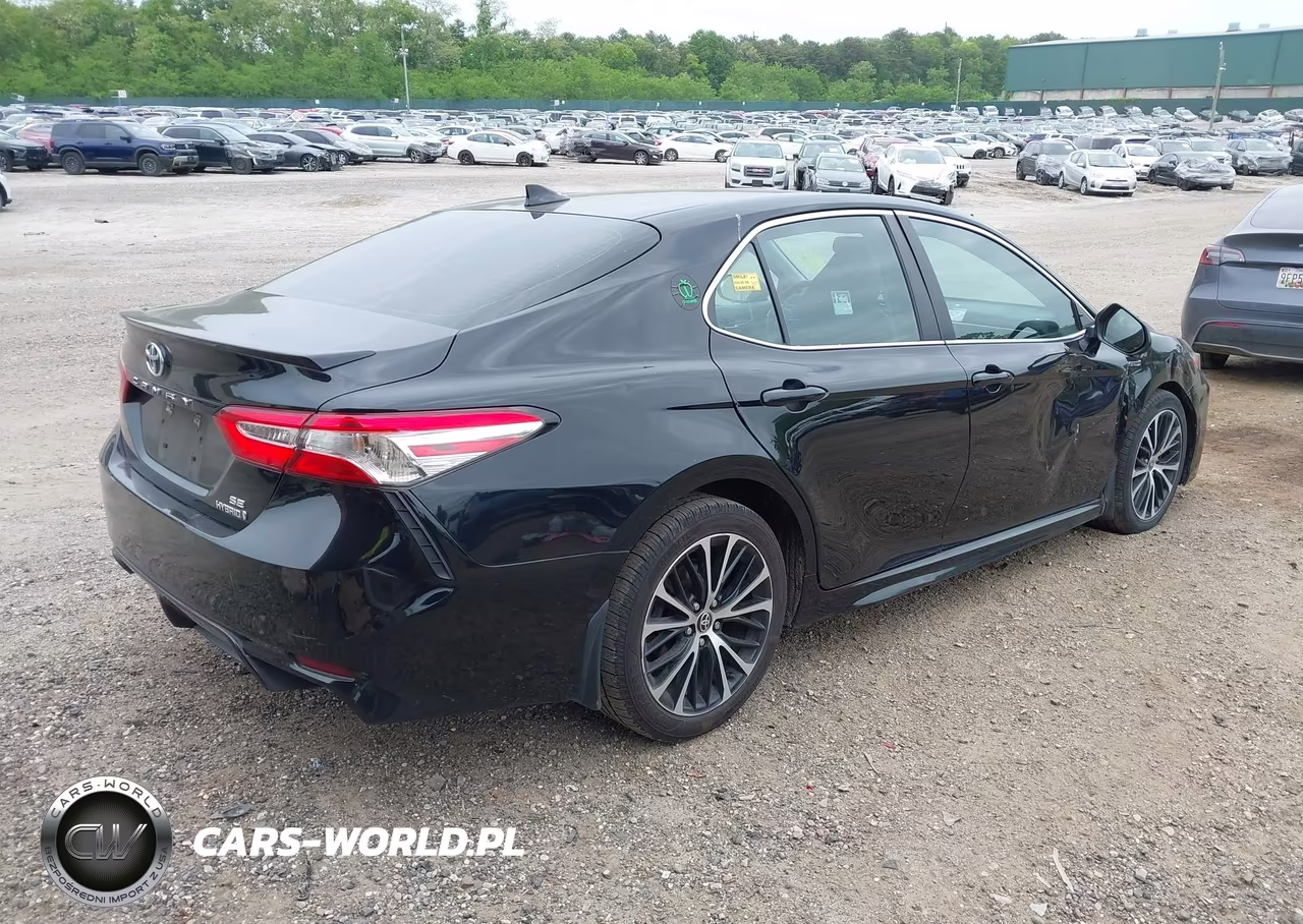 2020 Toyota Camry Se Hybrid VIN:4T1J31AK7LU545039 - 4