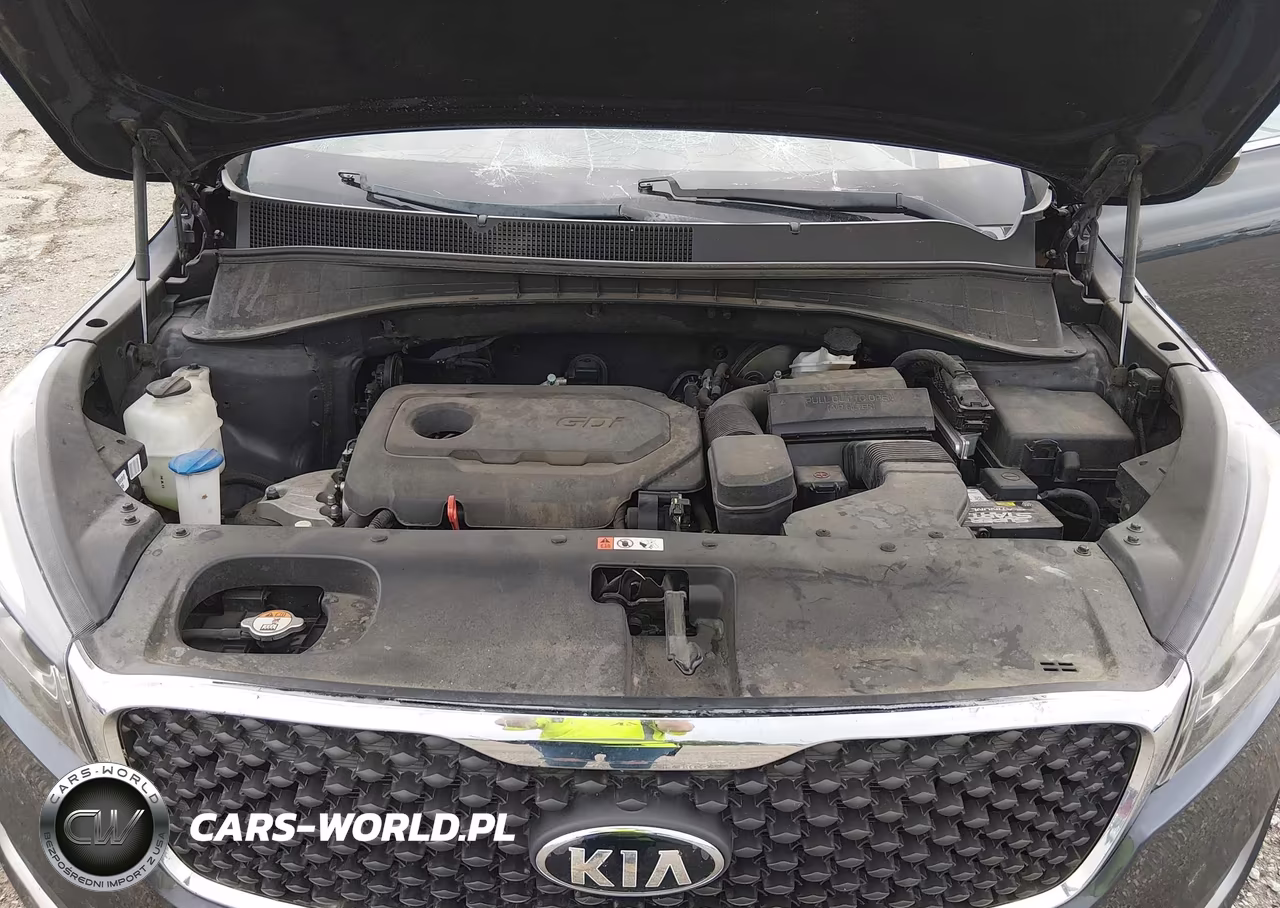2017 Kia Sorento 2.4L Lx VIN:5XYPG4A30HG215166 - 10