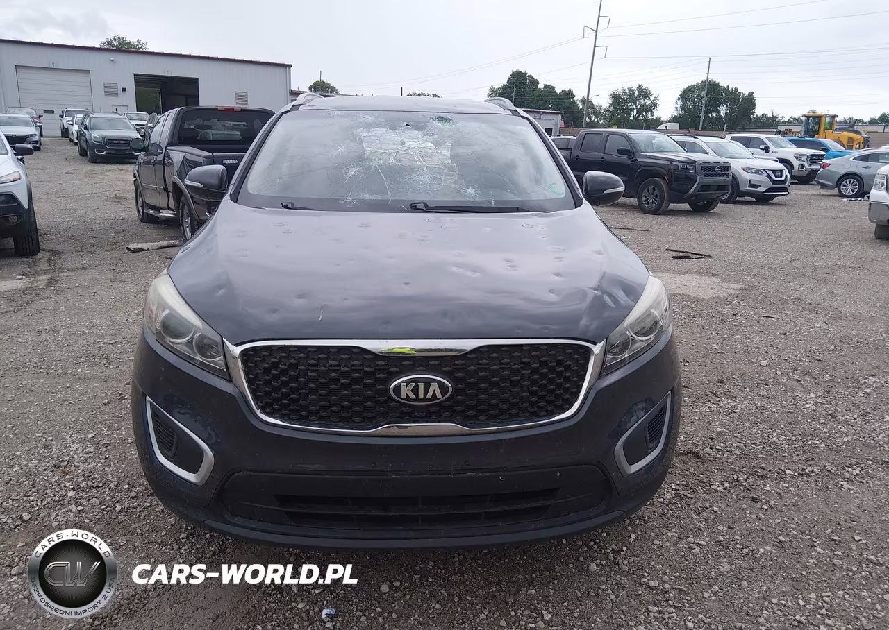 2017 Kia Sorento 2.4L Lx VIN:5XYPG4A30HG215166 - 12