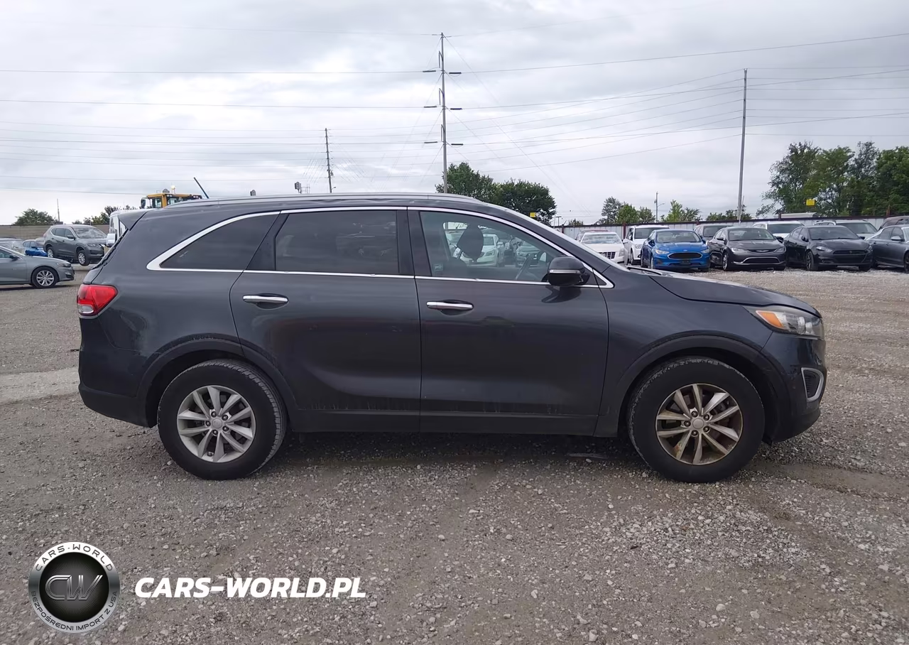 2017 Kia Sorento 2.4L Lx VIN:5XYPG4A30HG215166 - 13