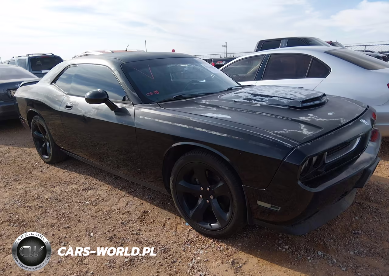 2010 Dodge Challenger R-T VIN:2B3CJ5DT0AH282148 - 13