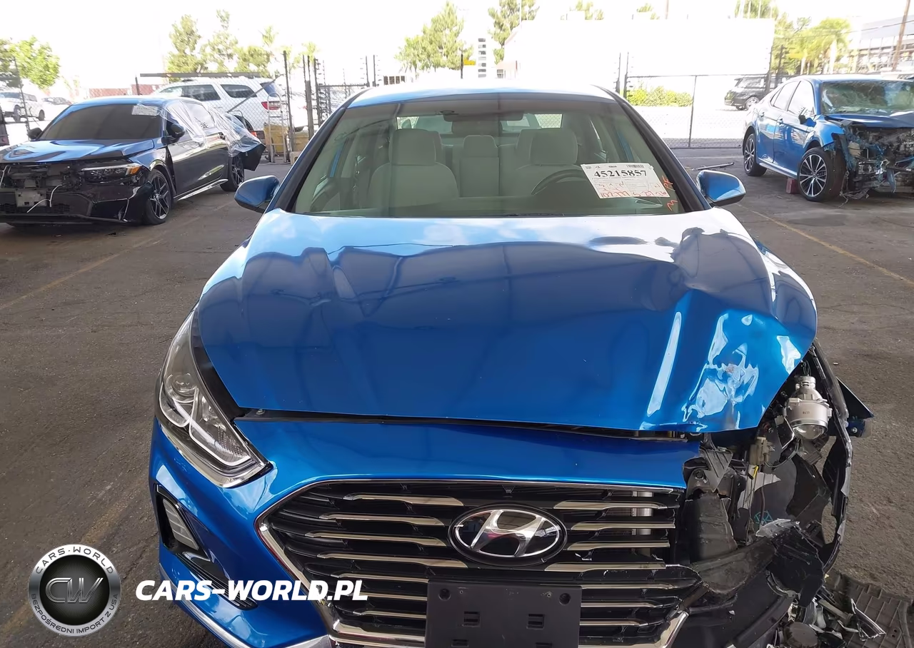 2019 Hyundai Sonata Se VIN:5NPE24AF1KH770563 - 13