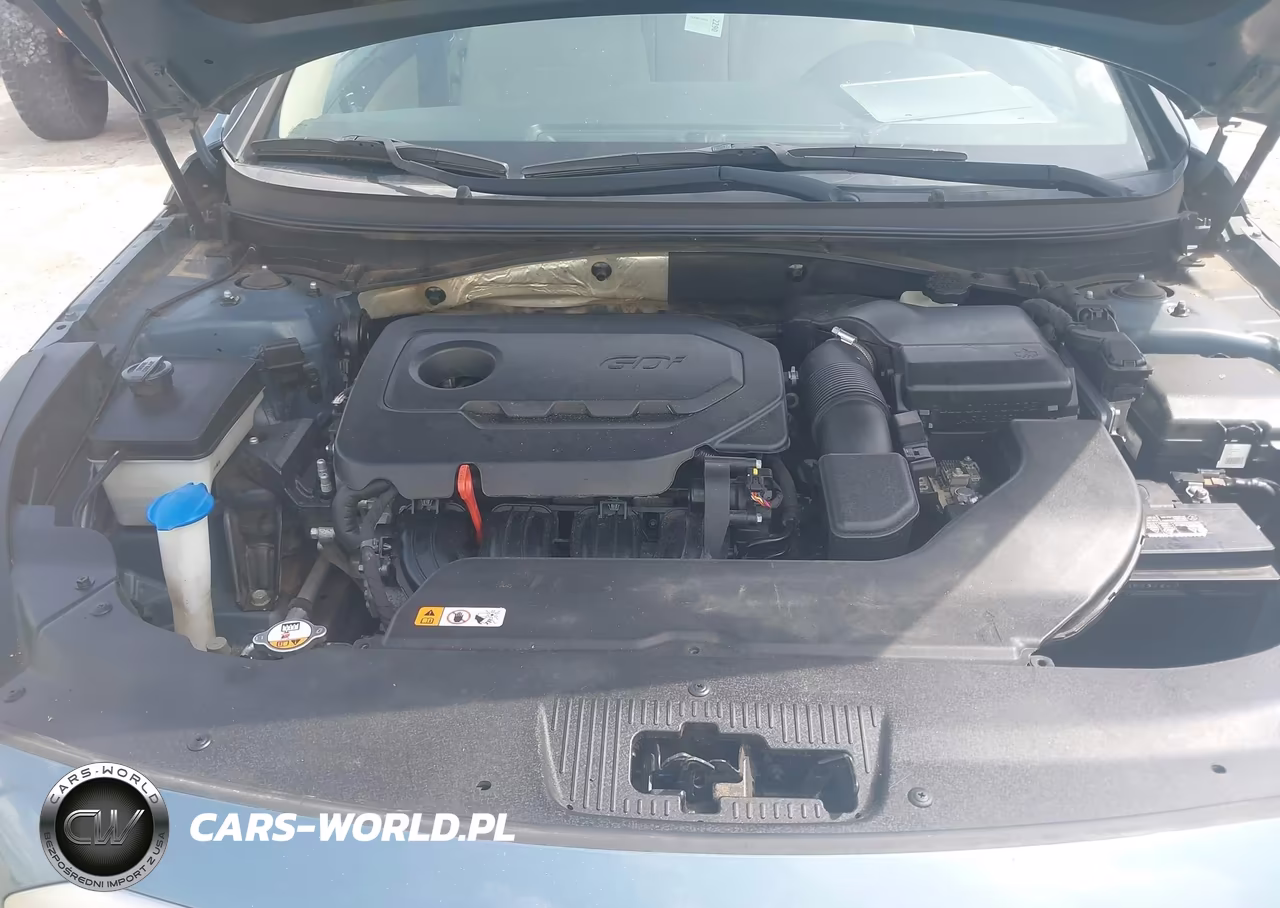 2016 Hyundai Sonata Se VIN:5NPE24AF6GH311200 - 10
