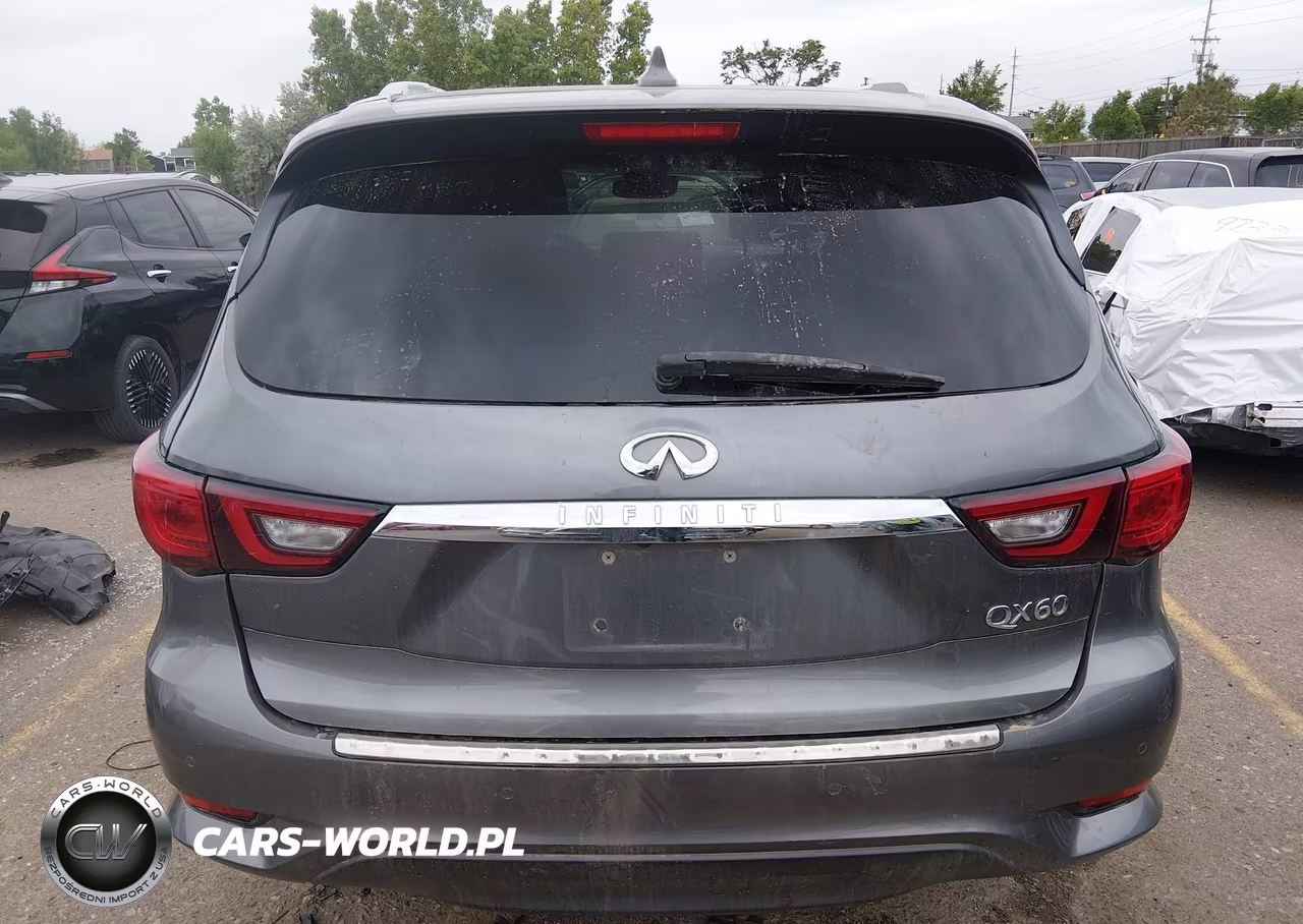2019 Infiniti Qx60 Luxe VIN:5N1DL0MM7KC513541 - 17