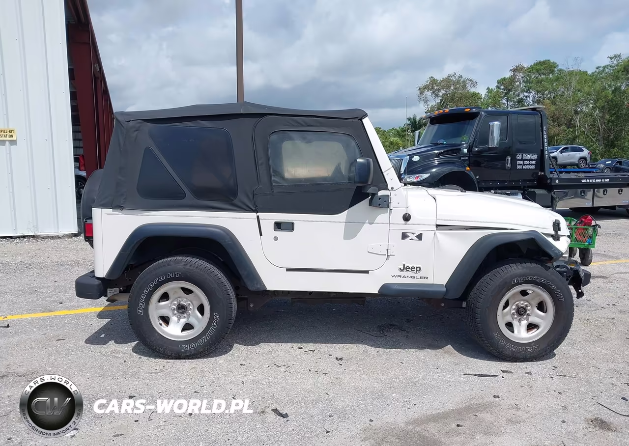 2004 Jeep Wrangler X VIN:1J4FA39S14P786914 - 14