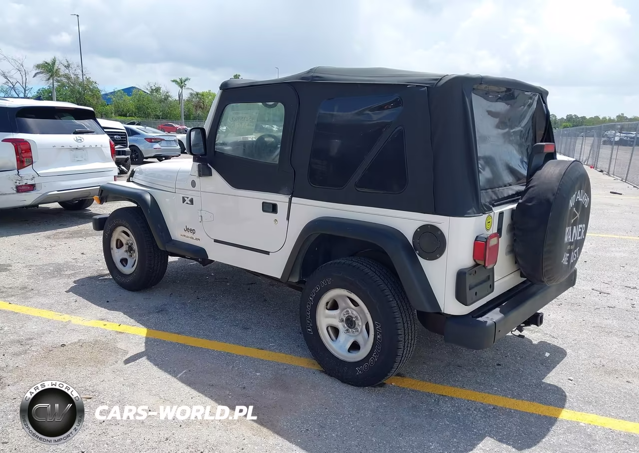 2004 Jeep Wrangler X VIN:1J4FA39S14P786914 - 3