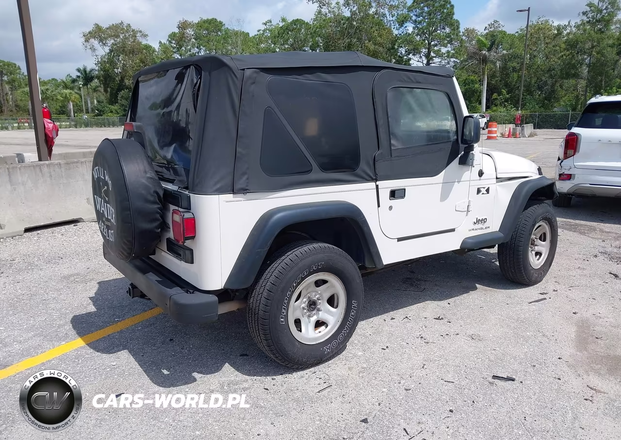 2004 Jeep Wrangler X VIN:1J4FA39S14P786914 - 4