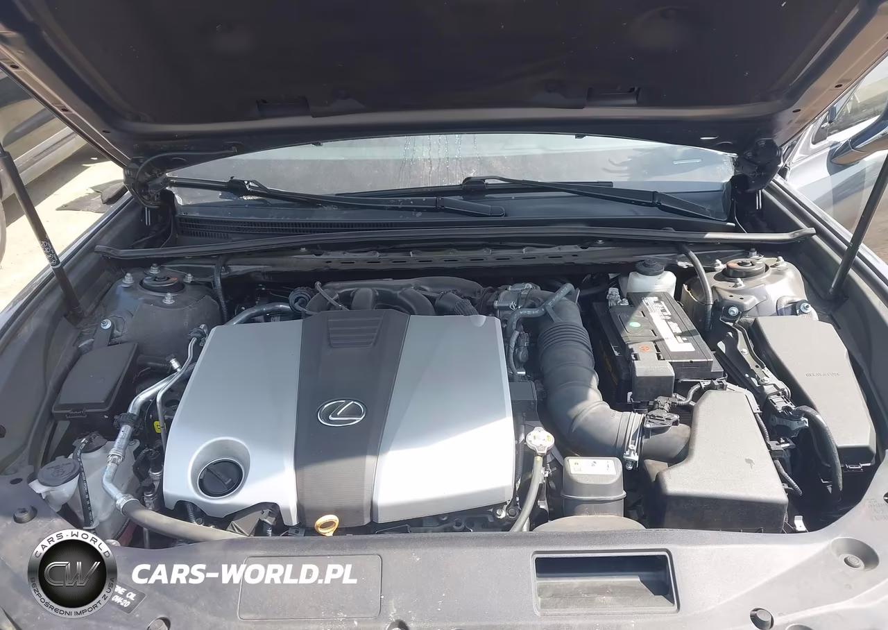 2022 Lexus Es 350 VIN:58ADZ1B12NU127162 - 10
