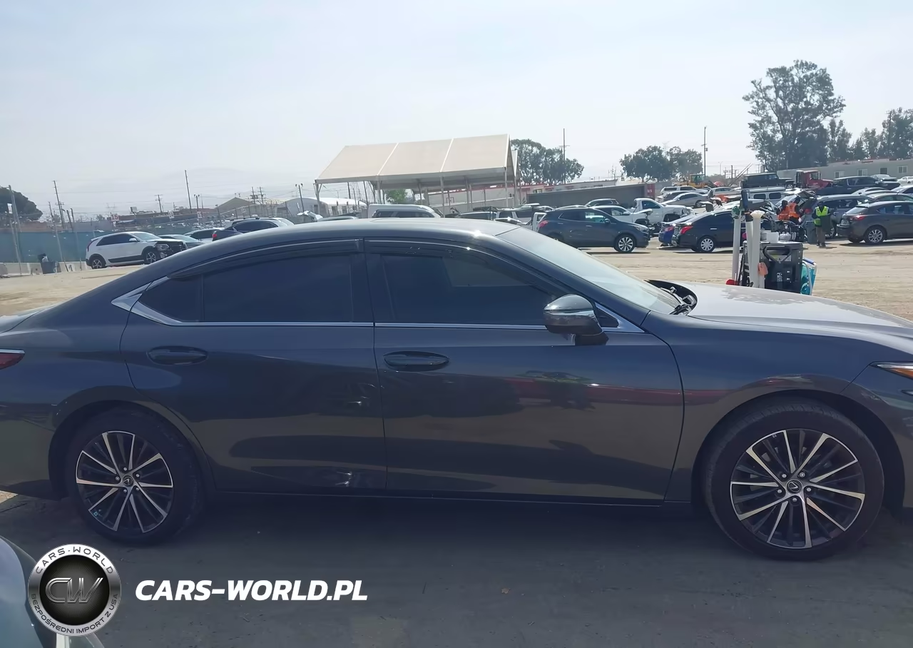 2022 Lexus Es 350 VIN:58ADZ1B12NU127162 - 13