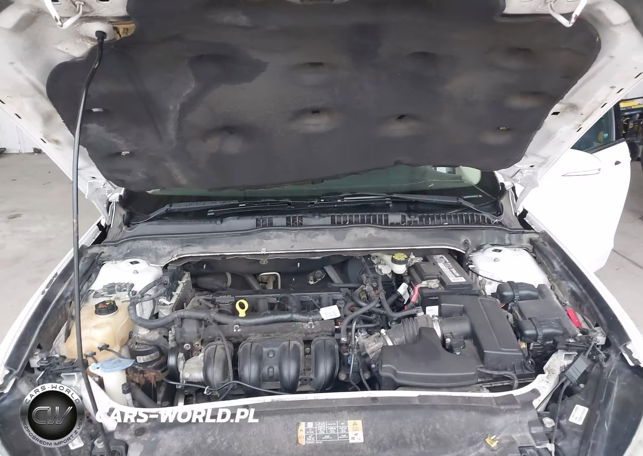 2013 Ford Fusion Se VIN:3FA6P0H71DR342558 - 10