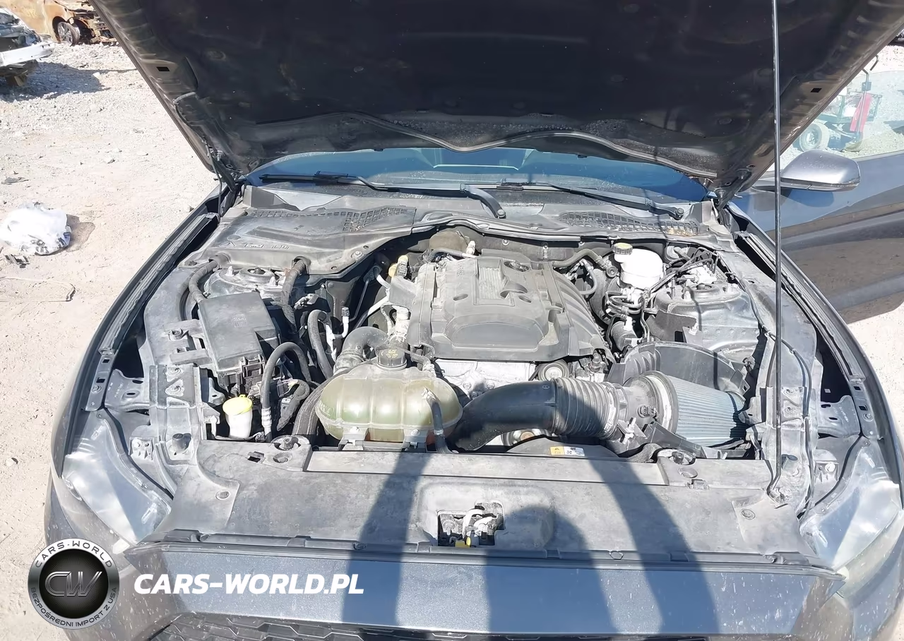 2016 Ford Mustang Ecoboost VIN:1FA6P8TH5G5318432 - 10