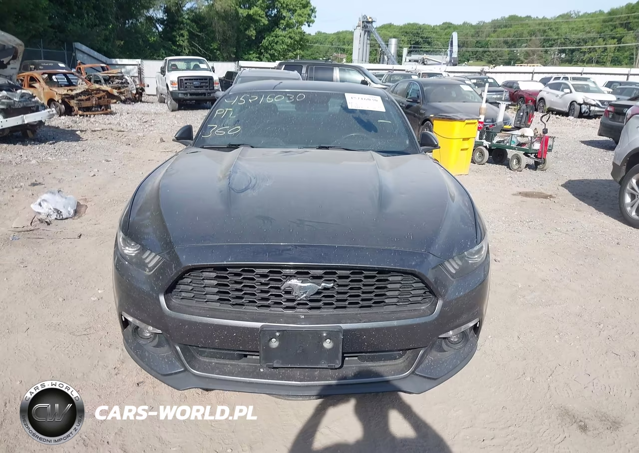 2016 Ford Mustang Ecoboost VIN:1FA6P8TH5G5318432 - 12