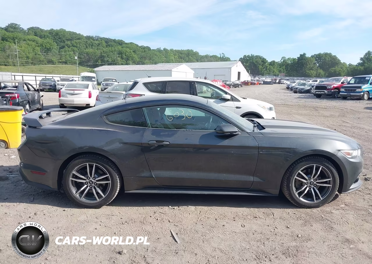 2016 Ford Mustang Ecoboost VIN:1FA6P8TH5G5318432 - 13