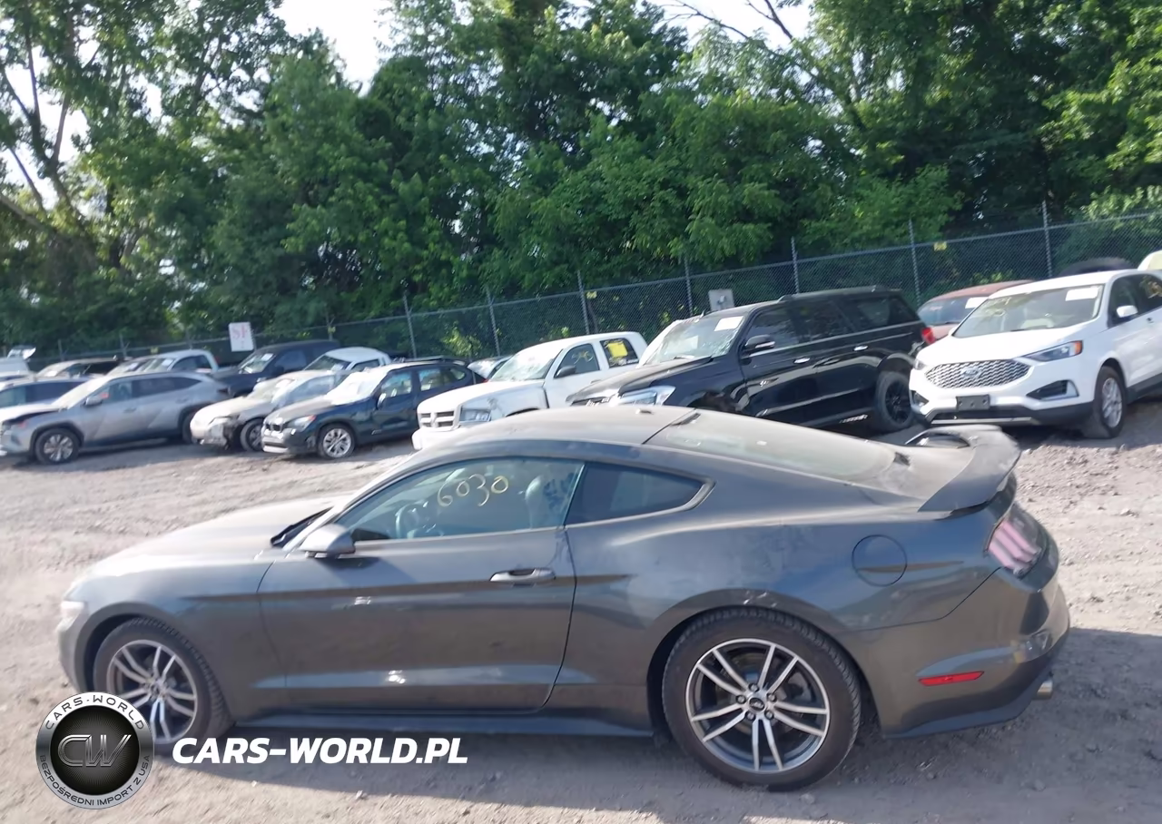 2016 Ford Mustang Ecoboost VIN:1FA6P8TH5G5318432 - 14