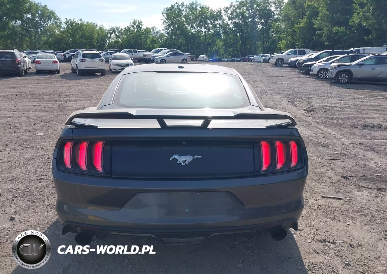 2016 Ford Mustang Ecoboost VIN:1FA6P8TH5G5318432 - 16