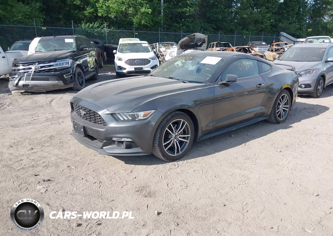 2016 Ford Mustang Ecoboost VIN:1FA6P8TH5G5318432 - 2