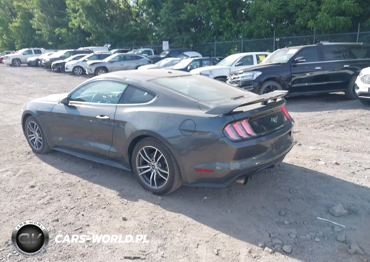 2016 Ford Mustang Ecoboost VIN:1FA6P8TH5G5318432 - 3