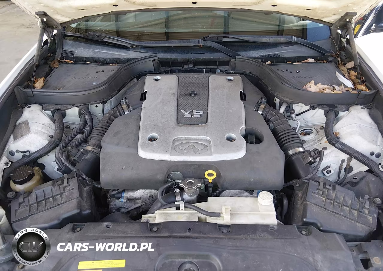 2008 Infiniti G35 Journey VIN:JNKBV61E88M201588 - 10