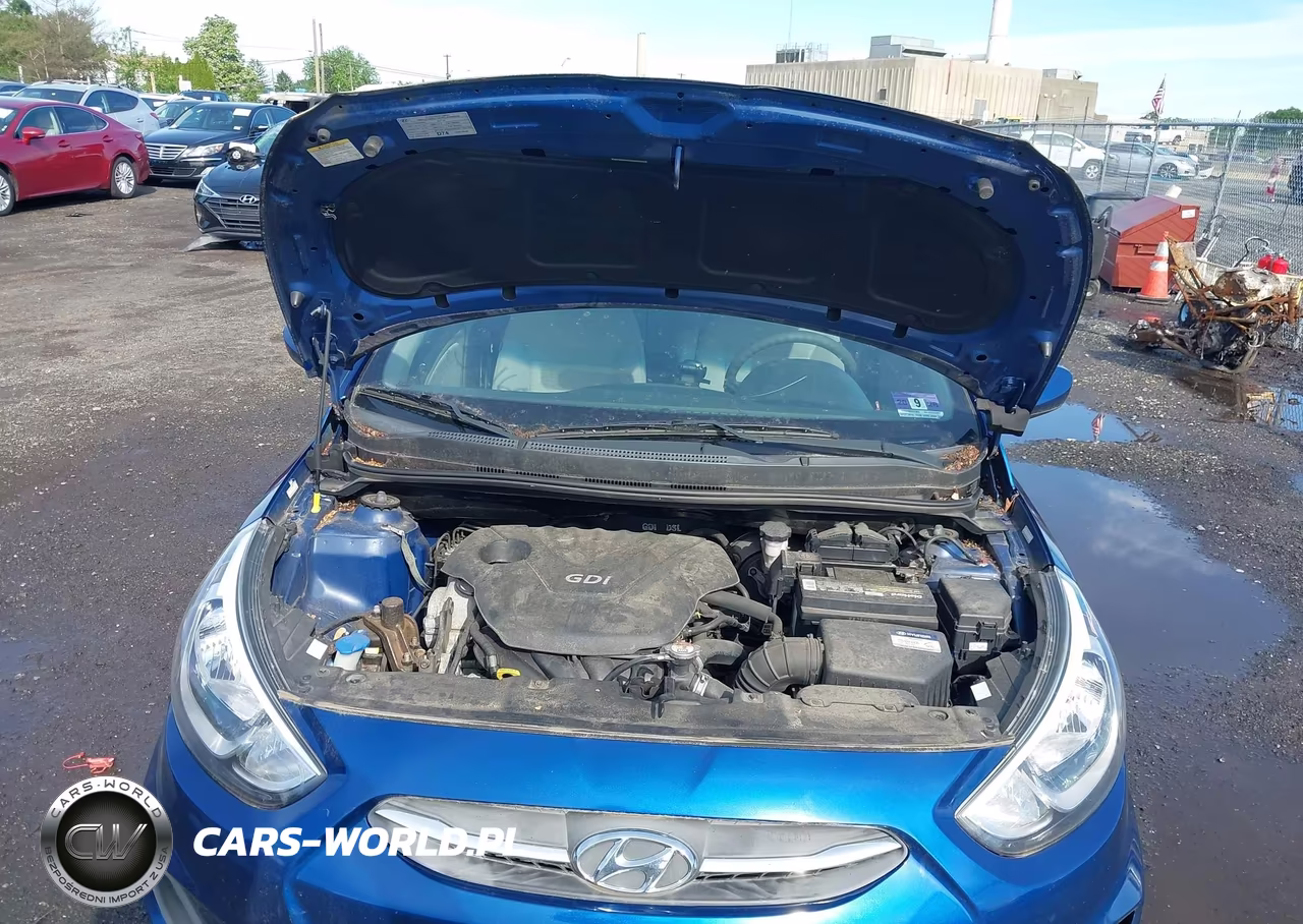 2017 Hyundai Accent Se VIN:KMHCT4AE2HU169264 - 10