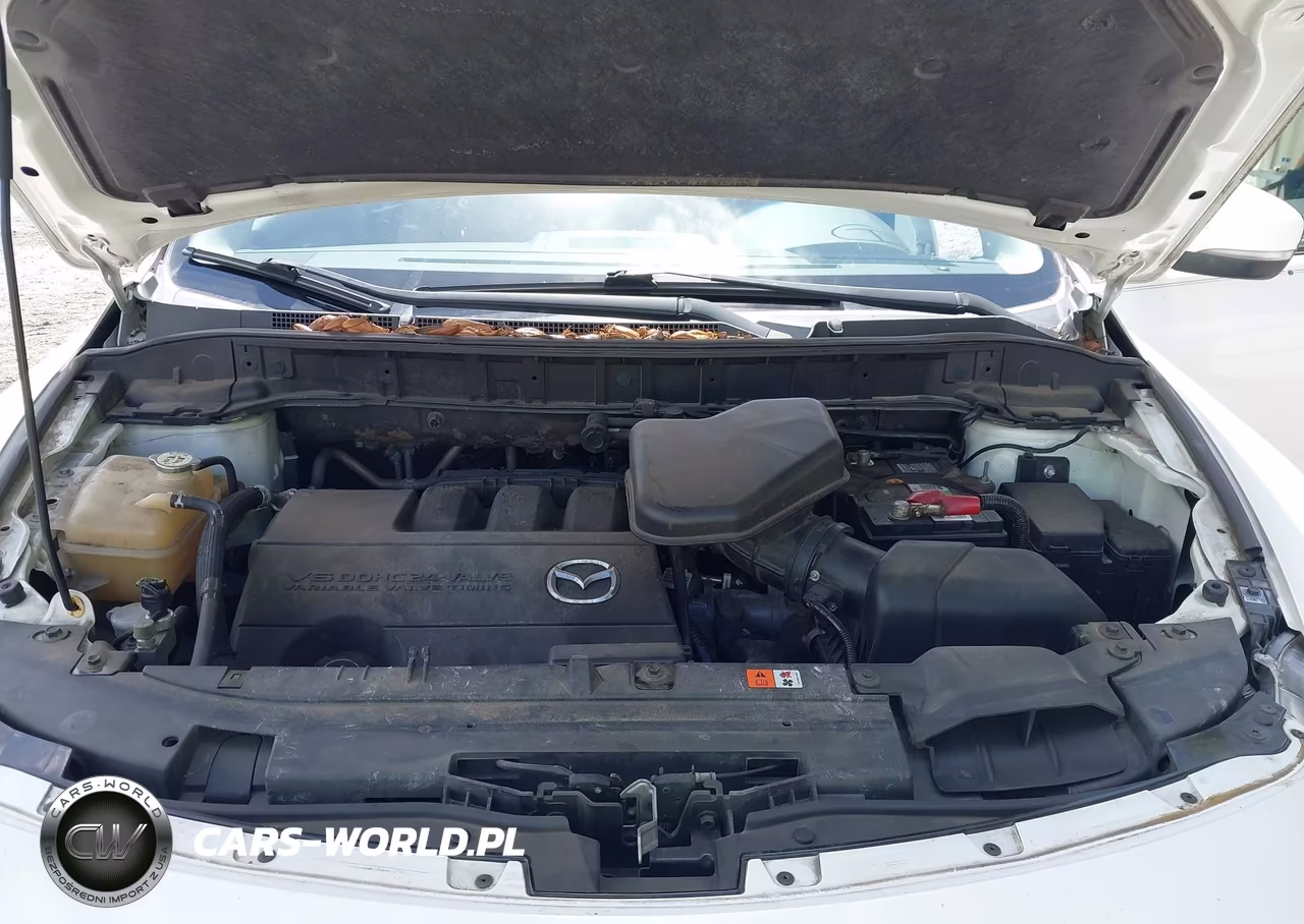 2015 Mazda Cx-9 Grand Touring VIN:JM3TB2DA9F0454947 - 10