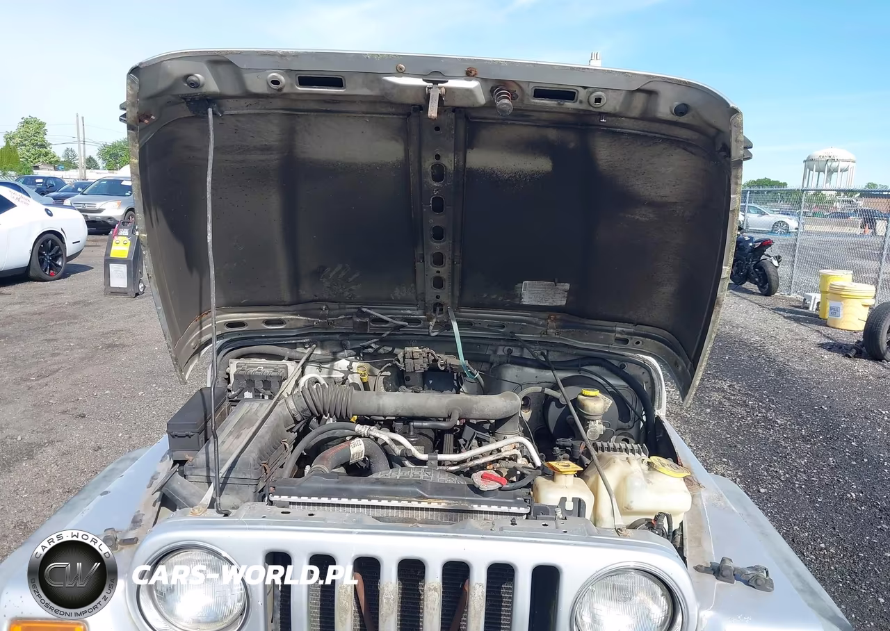 2004 Jeep Wrangler X VIN:1J4FA39S74P745445 - 10