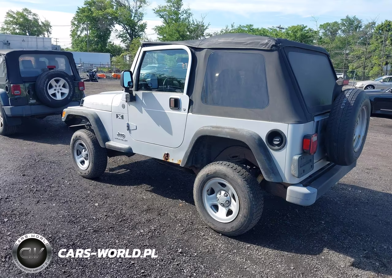 2004 Jeep Wrangler X VIN:1J4FA39S74P745445 - 3