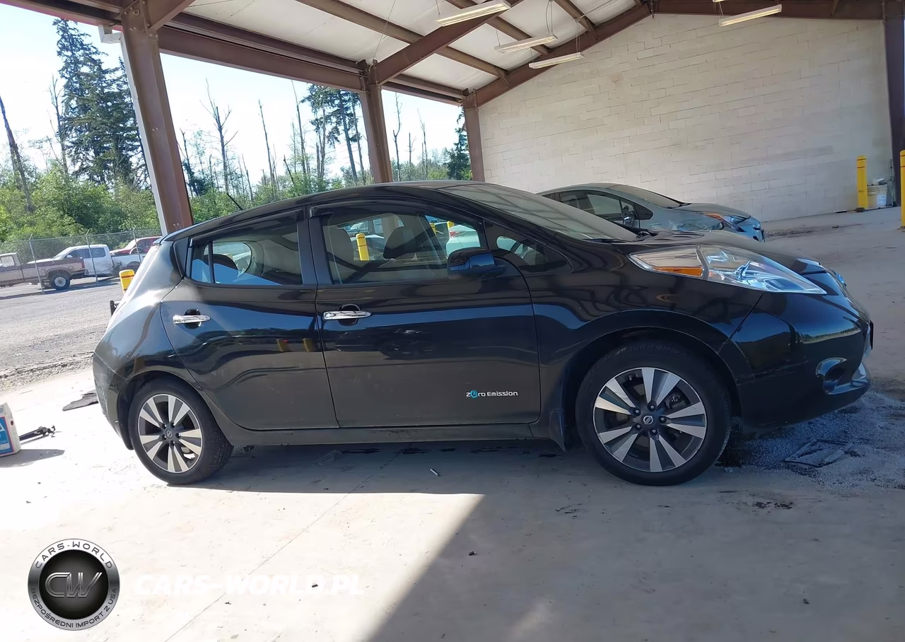 2016 Nissan Leaf Sl VIN:1N4BZ0CPXGC309366 - 13