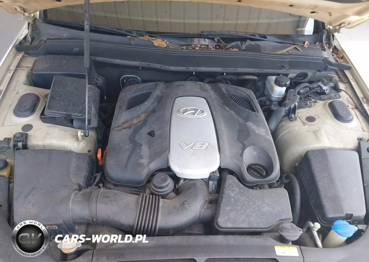 2009 Hyundai Genesis 4.6 VIN:KMHGC46F99U047313 - 10
