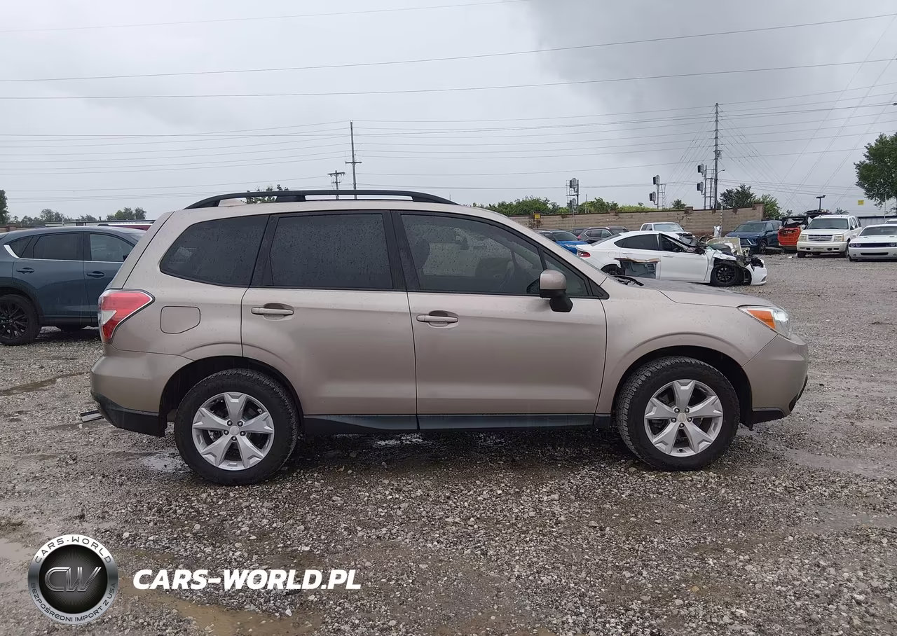 2016 Subaru Forester 2.5I Premium VIN:JF2SJADC7GH456381 - 13