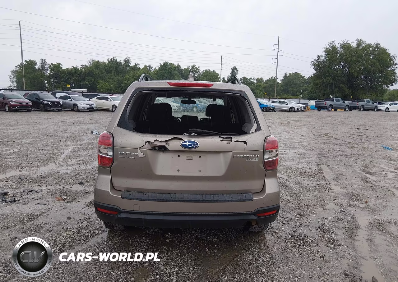 2016 Subaru Forester 2.5I Premium VIN:JF2SJADC7GH456381 - 16