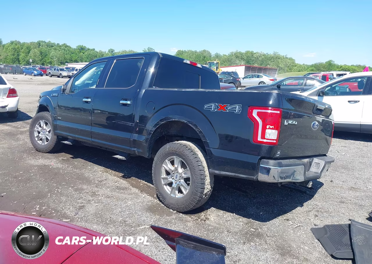 2017 Ford F-150 Xlt VIN:1FTEW1EP7HFC41529 - 3