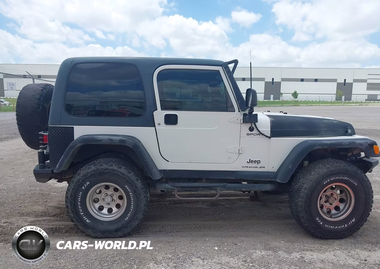 2003 Jeep Wrangler Sport VIN:1J4FA49S13P365375 - 13