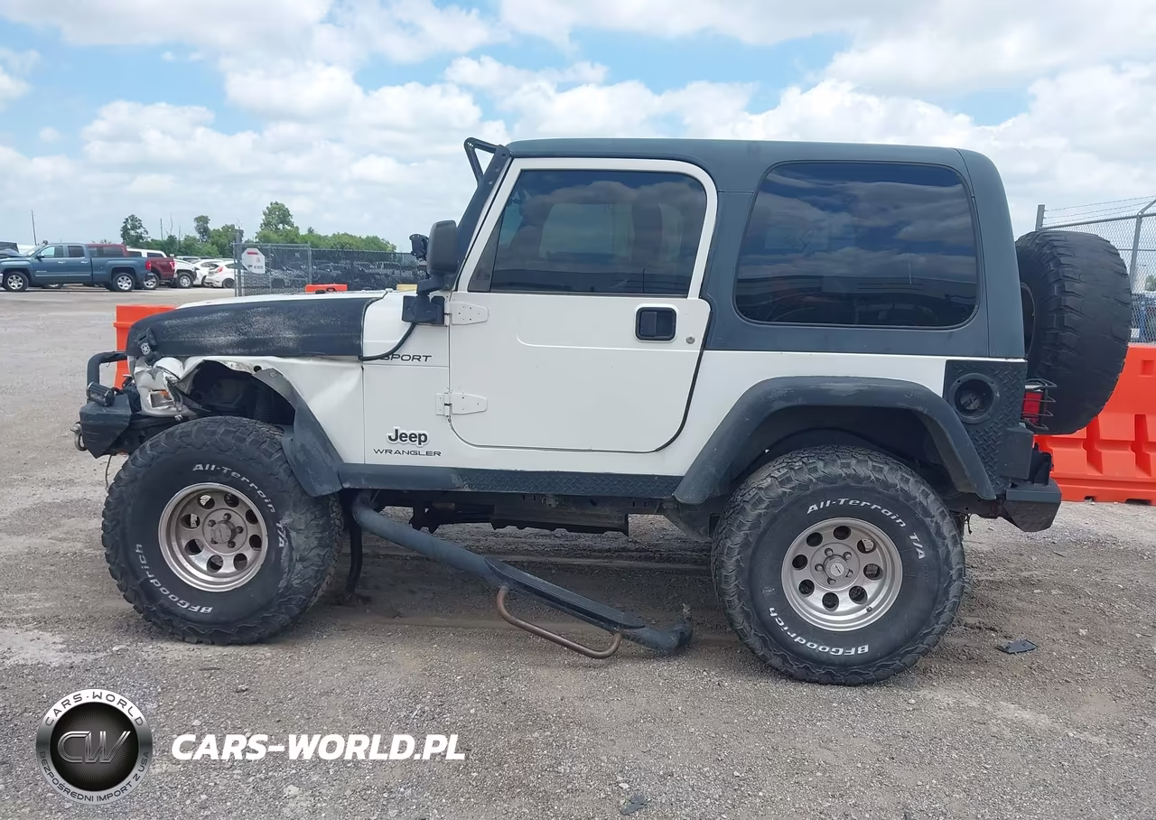 2003 Jeep Wrangler Sport VIN:1J4FA49S13P365375 - 14