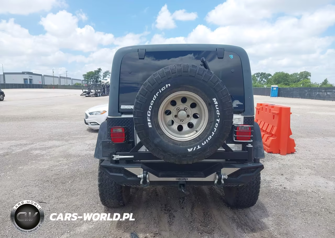 2003 Jeep Wrangler Sport VIN:1J4FA49S13P365375 - 16