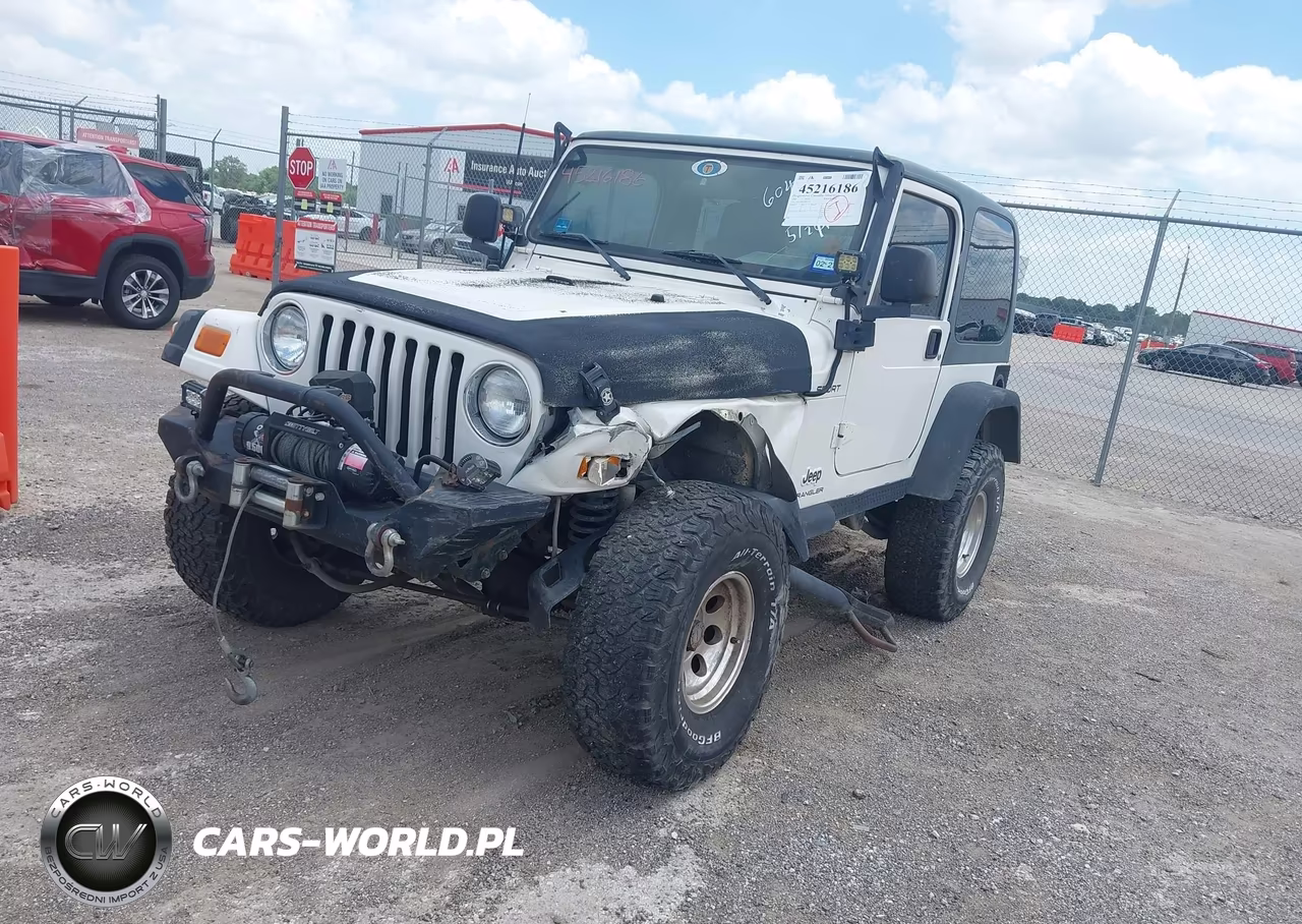 2003 Jeep Wrangler Sport VIN:1J4FA49S13P365375 - 2