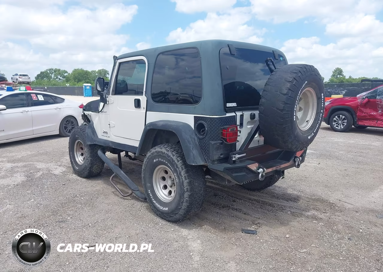 2003 Jeep Wrangler Sport VIN:1J4FA49S13P365375 - 3