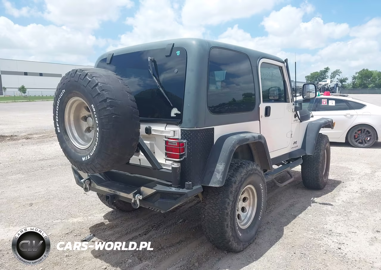 2003 Jeep Wrangler Sport VIN:1J4FA49S13P365375 - 4