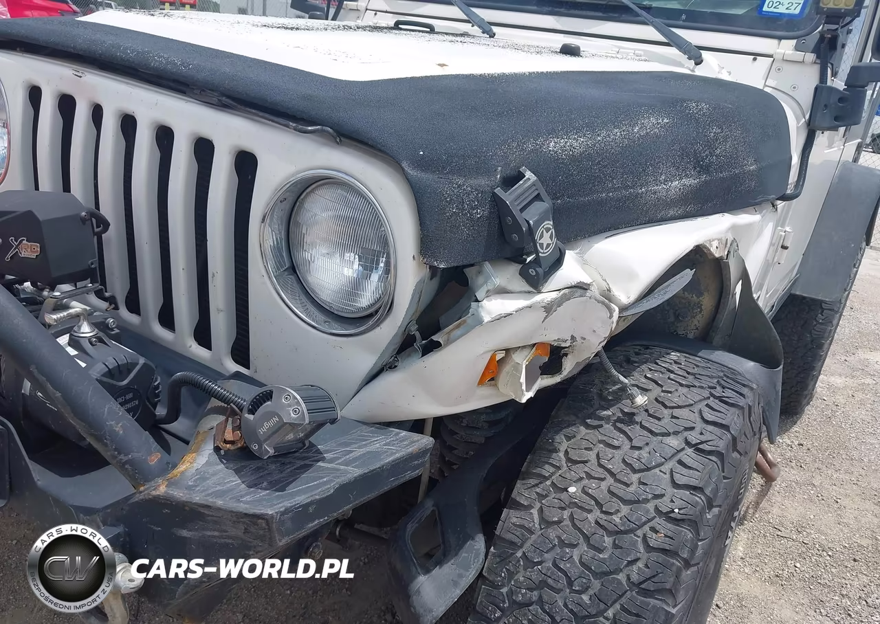 2003 Jeep Wrangler Sport VIN:1J4FA49S13P365375 - 6