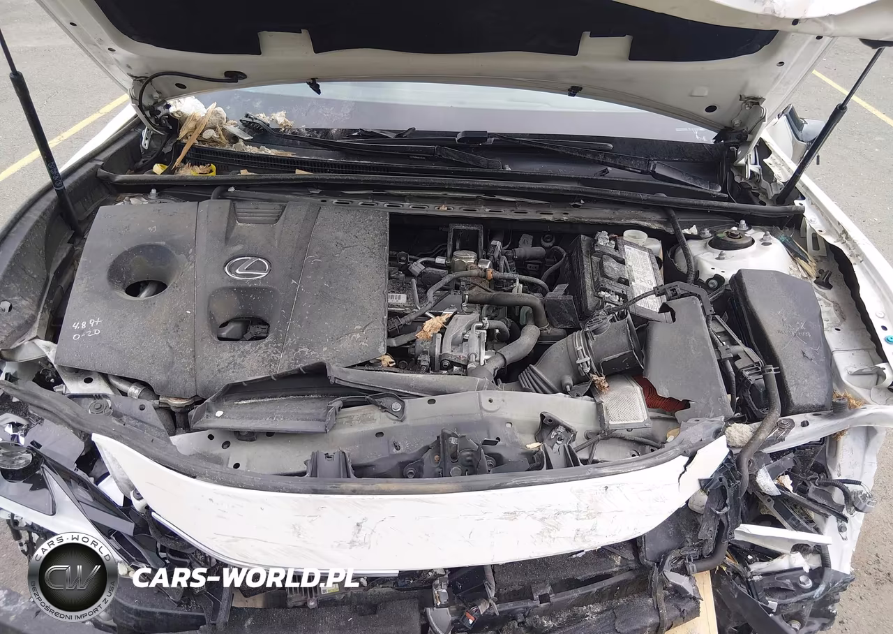 2021 Lexus Es 250 VIN:58AD11D16MU004581 - 10