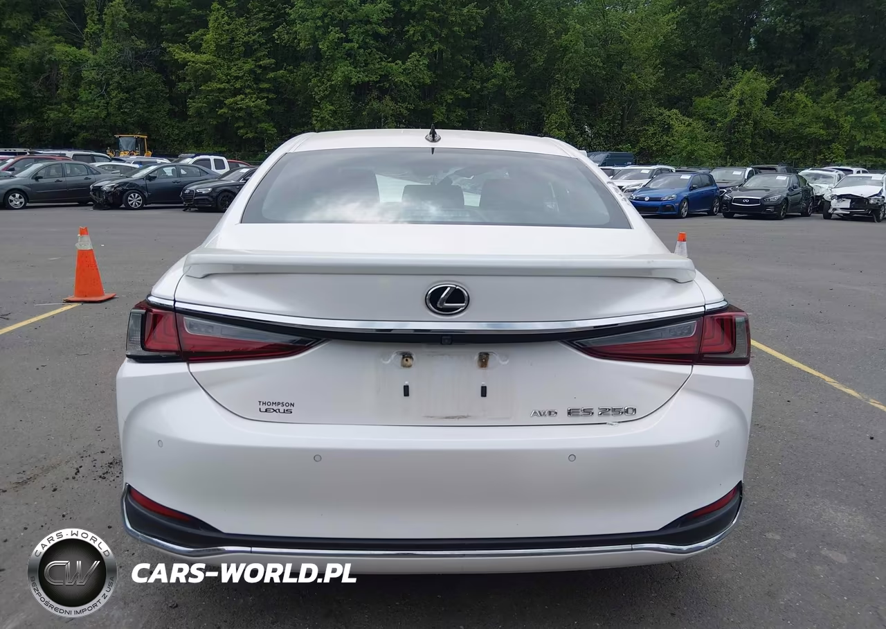 2021 Lexus Es 250 VIN:58AD11D16MU004581 - 17
