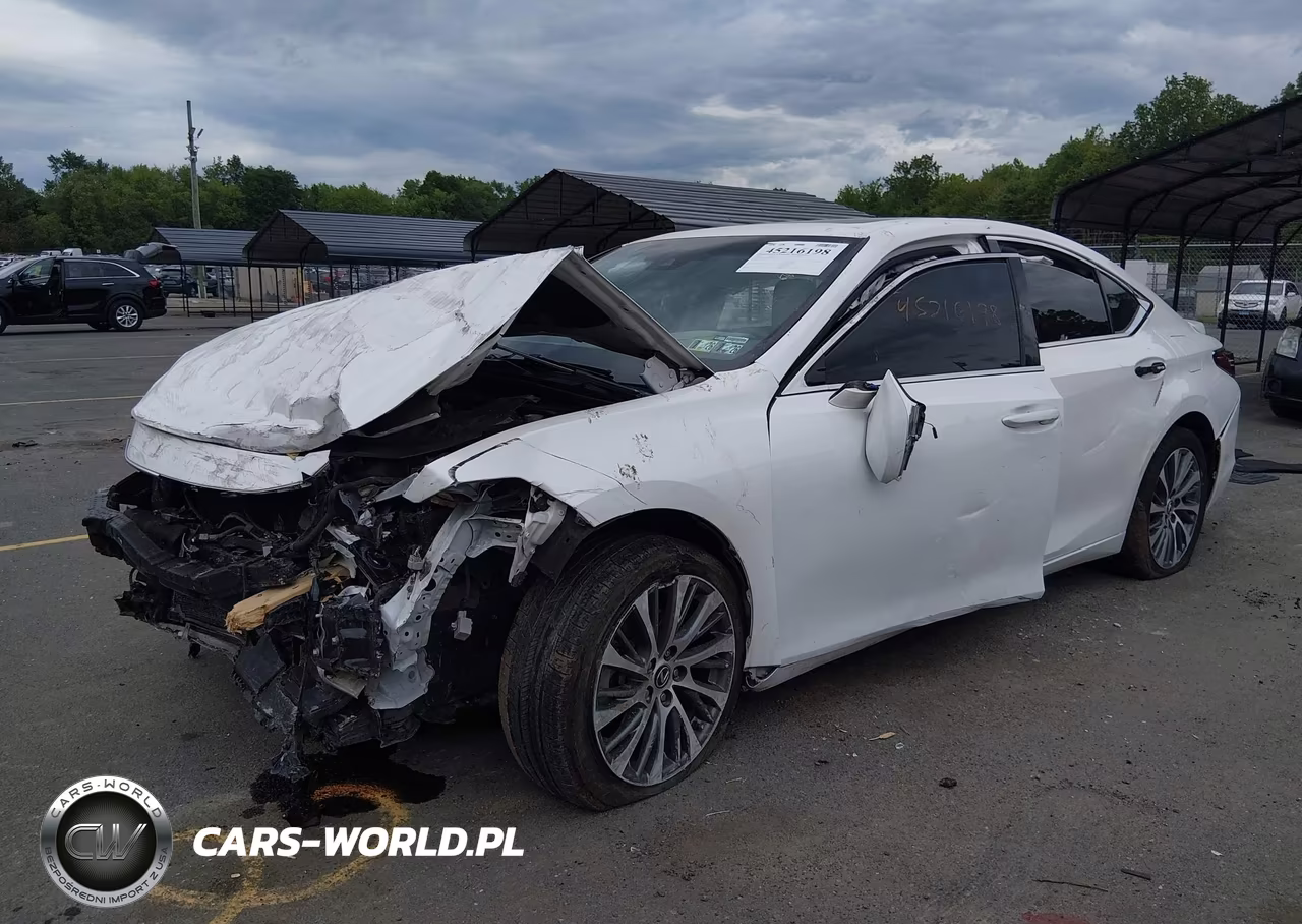 2021 Lexus Es 250 VIN:58AD11D16MU004581 - 2